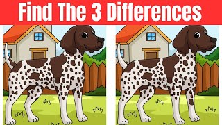 Spot The Difference : Only Genius Find Differences | Puzzle Game screenshot 4