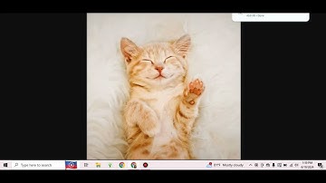 IAMKASHROYALE | IMVU sticker Method HOWTO