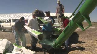 America's Heartland: Idaho Barley Farm