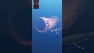 Https:youtube.com/Shorts/2Er_Xbb1Ddi?Si=Yk7Xe6Cs6Wuzggs2