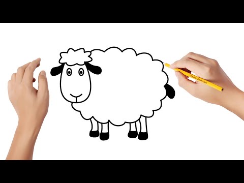 Vídeo: Como Desenhar Uma Ovelha