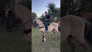 A ÚLTIMA VEZ QUE EU MONTO NO MEU PRIMEIRO CAVALO🐴 #cavalo #fypシ #fazenda