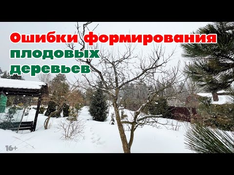 Ошибки при формировании плодовых деревьев