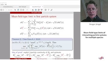 Ansgar Jüngel: Mean-field-type limits of interacting particle systems for multiple species