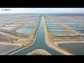 Al Fayrouz fish farming project.