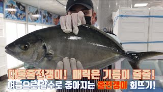 기름이 줄줄줄~줄전갱이회뜨기!