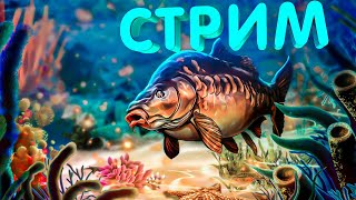 ФАРМ НА МОРЕ СНОВА ПОЯВИЛСЯ? СТРИМ РОЗЫГРЫШИ РУССКАЯ РЫБАЛКА РР4