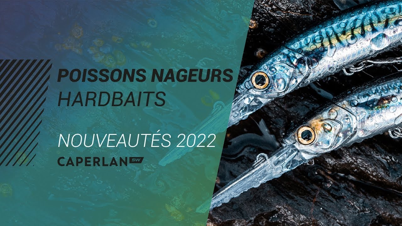 Poissons Nageurs