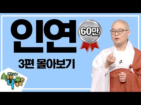 인연에 대한 모든 이야기 [광우스님 소나무 스페셜 3편 몰아보기]