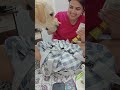 My Dog Charlie needs money.