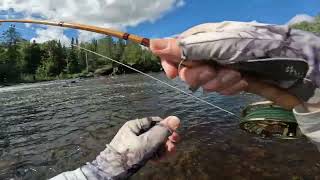 9'6' Bamboo Rod from Zhus Rod China - Manigotogan River Manitoba Canada 9'6' Bamboo Rod from Zhus Rod China - Manigotogan River Manitoba Canada