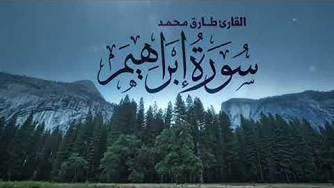 سوره ابراهيم القارء طارق محمد