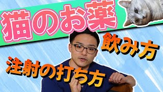 【猫の薬】獣医さんがお薬のあげ方のコツ・基本を紹介錠剤、粉薬、目薬、注射