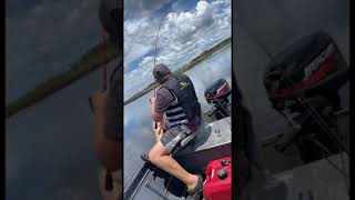 Kid thinks he's reeling in a big trout, but it's actually a shark!