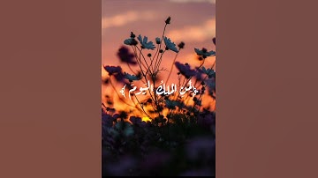 تلاوه خاشعه للشيخ/ياسر الدوسري