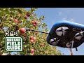 The robots are coming  to pick pacific northwest apples  oregon field guide