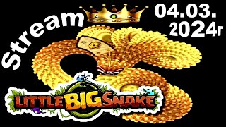 💥Stream💥🐍Little Big Snake🐞04.03.2024