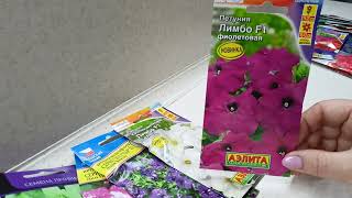 видео: Для этих петуний подойдут кашпо от 3 до 5 литров.12 декабря 2021г картинка: Для этих петуний подойдут кашпо от 3 до 5 литров.12 декабря 2021г