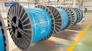 Inside ESP Cable Manufacturing | Protection in Every Layer