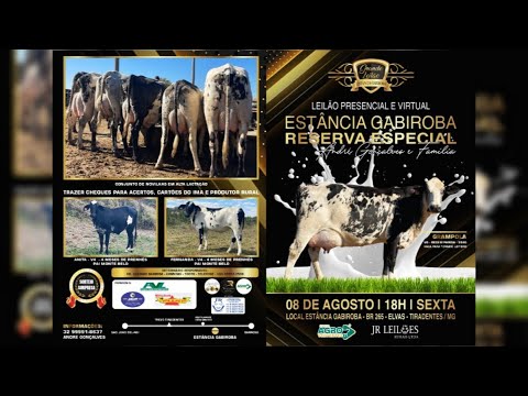 Leilão Presencial E Virtual Estância Gabiroba Reserva Especial - André Gonçalves - 08/08/2025