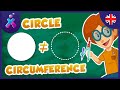Understanding Circles and Baking