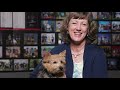 N is for Norwich Terrier の動画、YouTube動画。