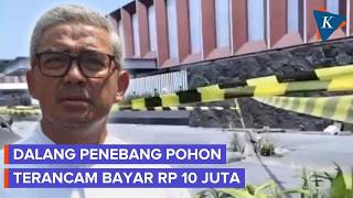 Strict Penalties for Illegal Tree Cutting in Bandung: Minimum 10 Million Rupiah Fine and Mandator... Strict Penalties for Illegal Tree Cutting in Bandung: Minimum 10 Million Rupiah Fine and Mandator...