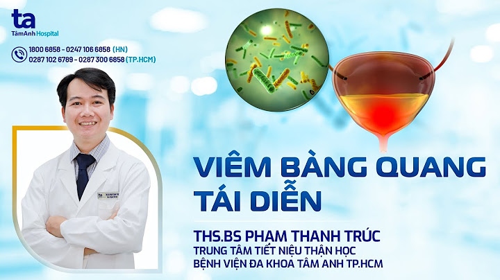 Cầu bàng quang tiếng anh là gì năm 2024