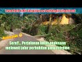 explore jalan pelosok desa lewat rute bukit sampalan asri sukamaju cihaurbeuti ciamis