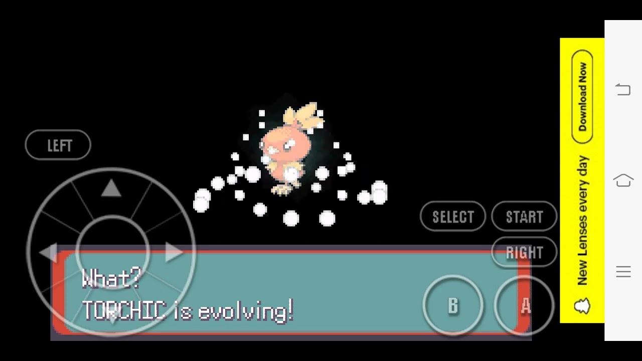 How to evolve TORCHIC YouTube