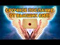 СРОЧНОЕ Послание от Высших Сил. Что вам надо знать прямо сейчас?