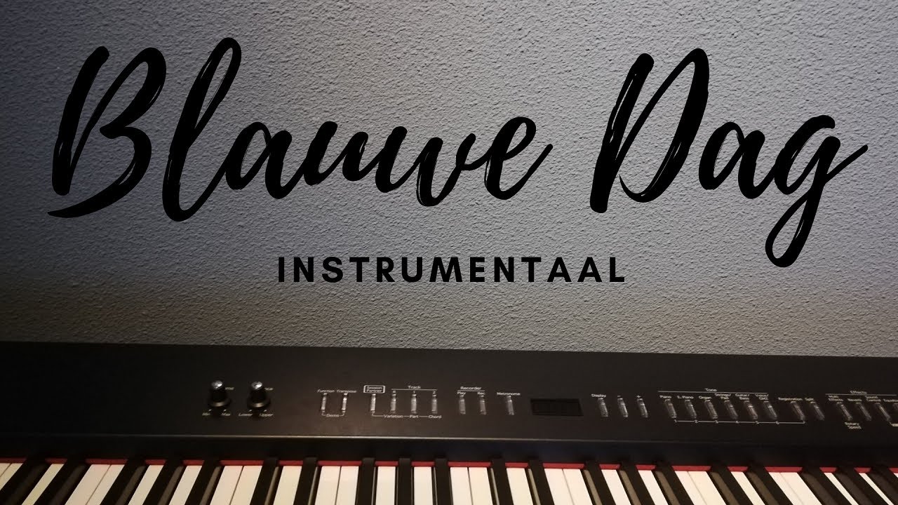 Blauwe dag (Suzan & Freek) Piano & Melodica + Lyrics YouTube