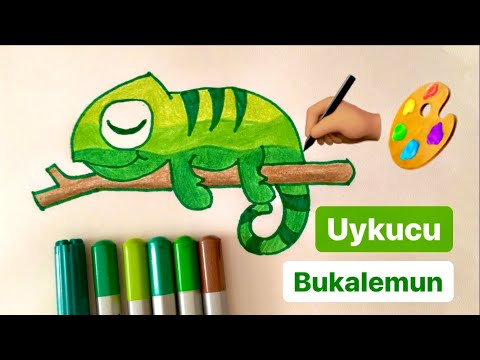 Video: Bukalemun Nasıl çizilir