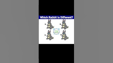 Which Rabbit is Different? #mind your logic #riddles game |Hindi Riddles|