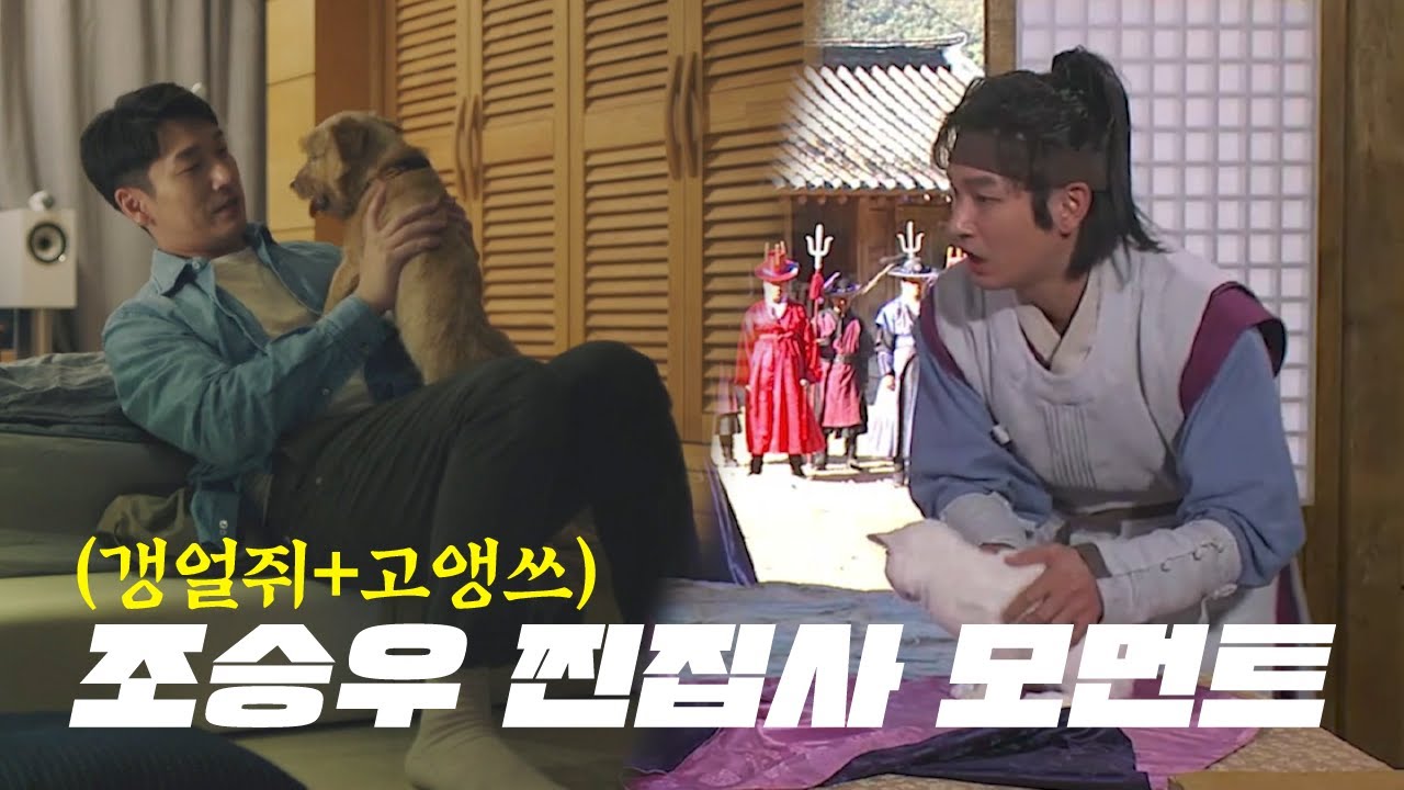 동물과 함께 연기하는 조승우 찐집사 모먼트 모음