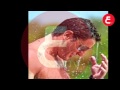 اتفرج على صيف ساخن لنجمات