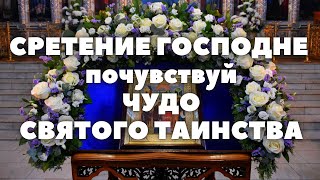 СРЕТЕНИЕ ГОСПОДА БОГА И СПАСА НАШЕГО ИИСУСА ХРИСТА Праздничные пения Сретению Господню