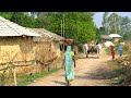 Village life india daily routine farmer  real life in up village  rural life india