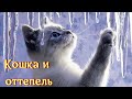 Кошка и оттепель. Песня.