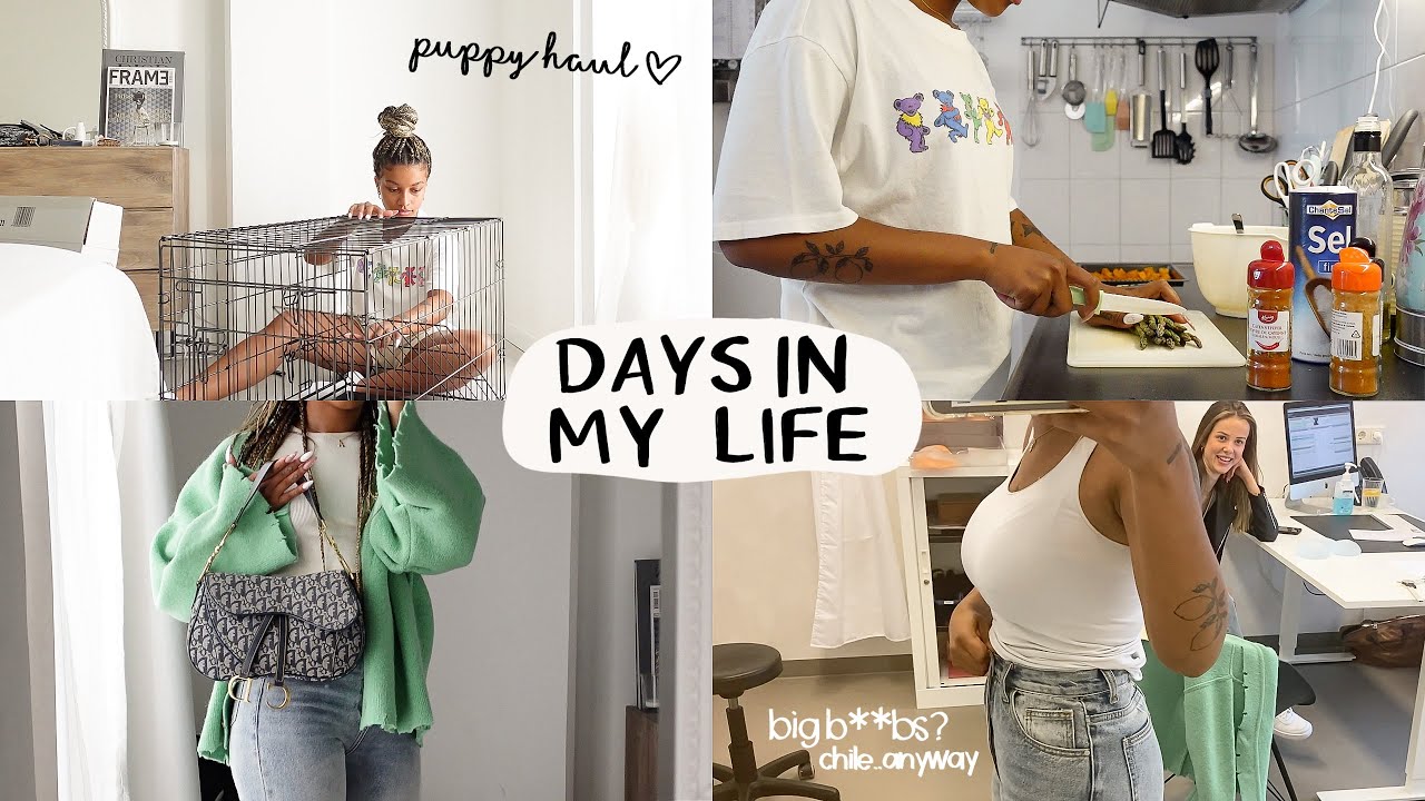 VLOG: buying puppy essentials and i'm getting surgery...