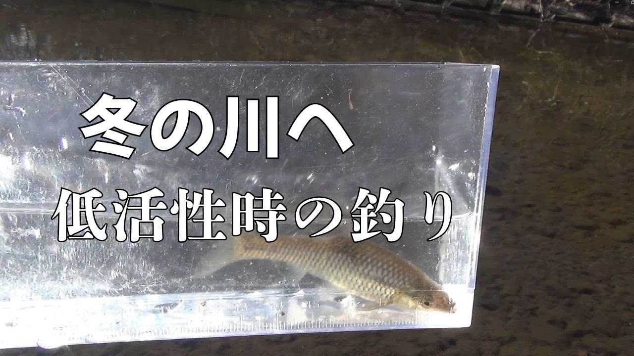 冬はとにかく魚のいる場所を探す