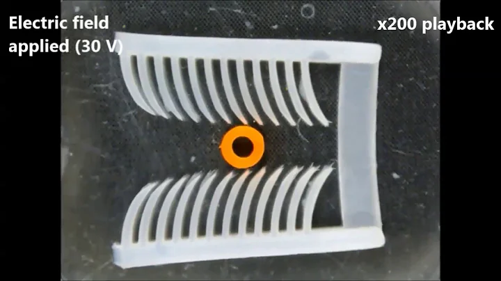 Soft Robotic Manipulation and Locomotion with a 3D Printed Electroactive Hydrogel