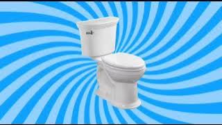 Toilet Flush Sound Effect - High Quality Flushing