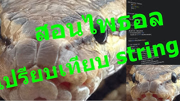 สอนไพธอน python 3 เรียนเทคนิค รับข้อมูลจากผู้ใช้อย่างง่าย เปรีบบเทียบ string การใช้งาน if else