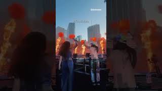 Steve Aoki live at ultra music festival 2026 #steveaoki #umf2026 #live #edm #trend #festival #shorts