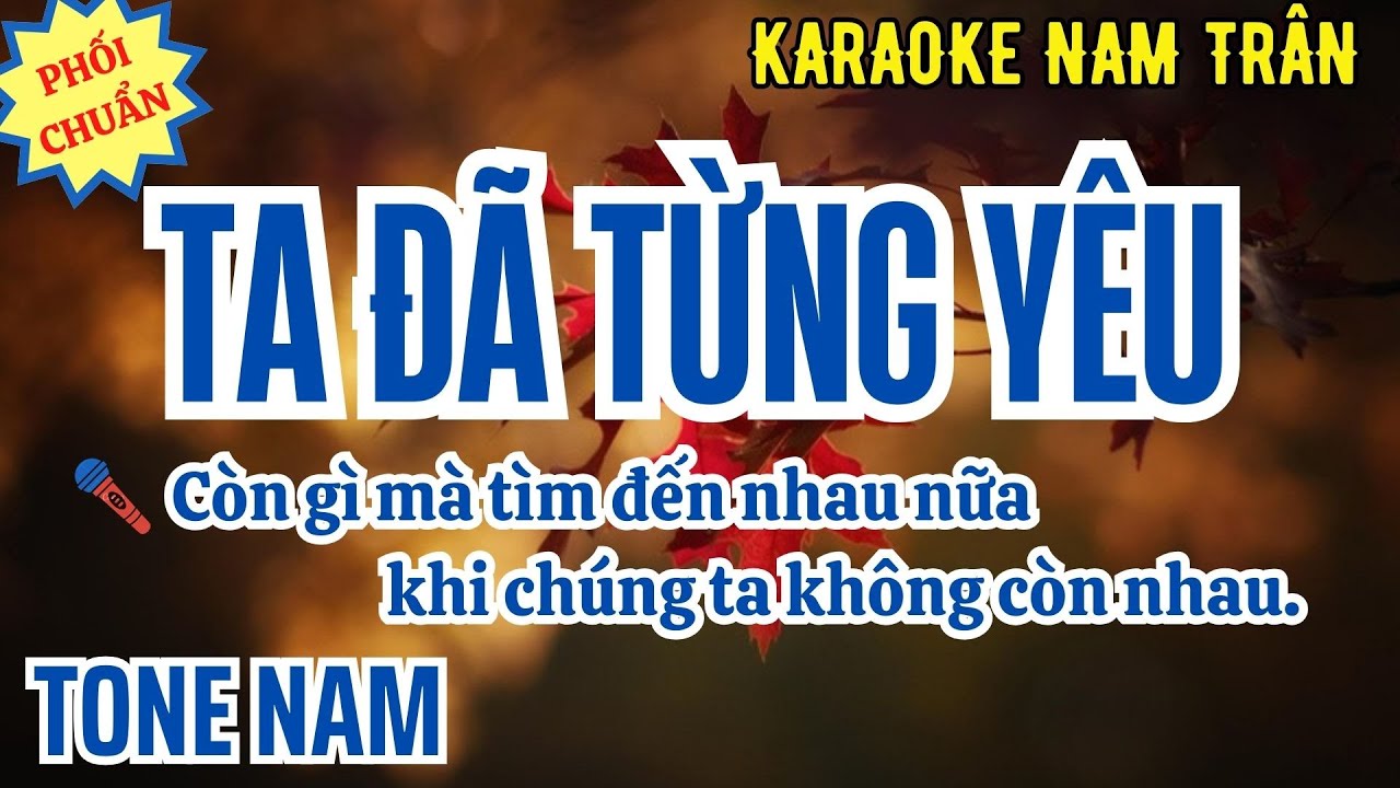 Karaoke Ta Đã Từng Yêu Tone Nam | Nam Trân