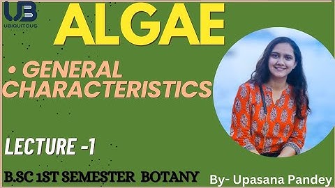 General characteristics of Algae | B.Sc 1st Semester | Algae | Botany