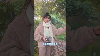 這花朵還挺漂亮的，但是我的手是怎麽回事#lucky #cat #萌寵 #cute #funny #shorts