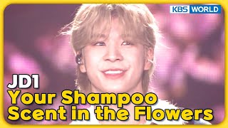 Your Shampoo Scent in the Flowers - JD1 [Immortal Songs 2] | KBS WORLD TV 240203