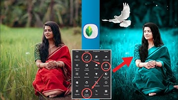 Snapseed Green And Bird Effect Photo Editing Tutorial | Snapseed Background Colour Change Tricks